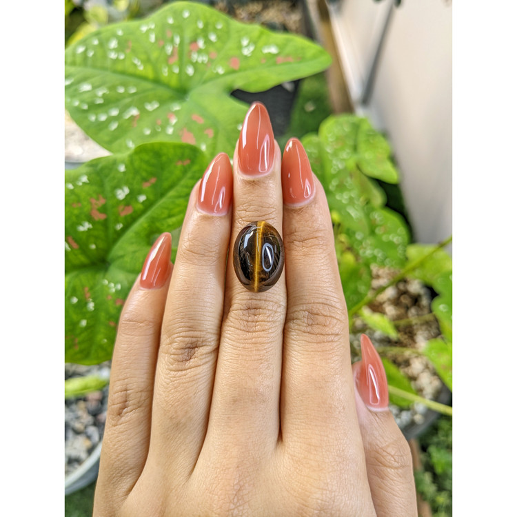 11.14 Ct. Cabochon Tiger's Eye from South Africa