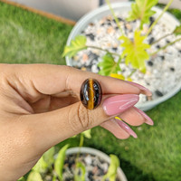 11.67 Ct. Tiger's Eye from South Africa Life Style