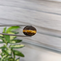 11.67 Ct. Tiger's Eye from South Africa Life Style