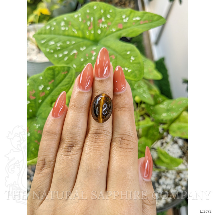 10.92 Ct. Cabochon Tiger's Eye from South Africa