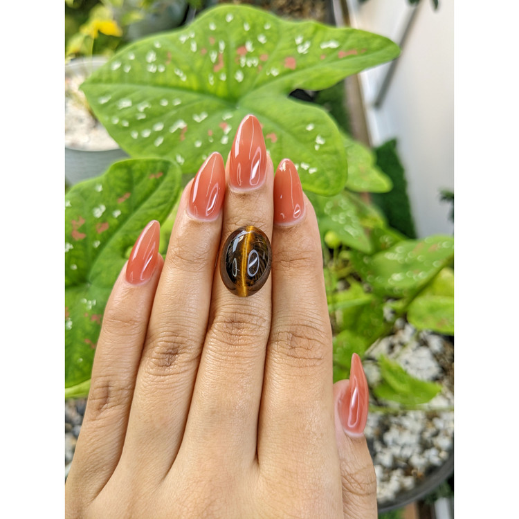 10.92 Ct. Cabochon Tiger's Eye from South Africa