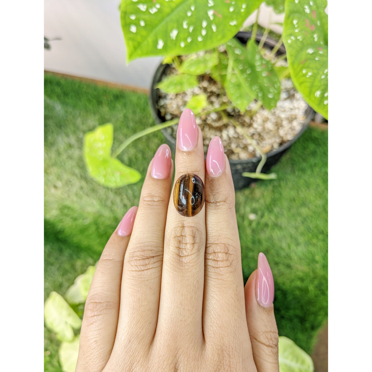 15.13 Ct. Cabochon Tiger's Eye from South Africa