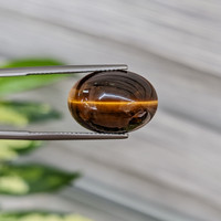 11.54 Ct. Tiger's Eye from South Africa Life Style
