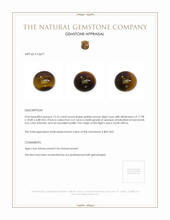 15.76 Ct. Tiger's Eye from South Africa Appraisal