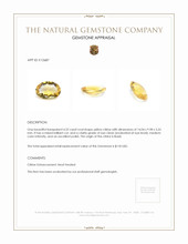 4.52 Ct. Citrine from Brazil Appraisal