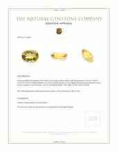 4.95 Ct. Yellow Citrine from Brazil Appraisal
