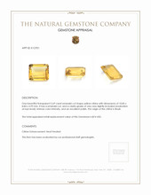 3.69 Ct. Citrine from Brazil Appraisal