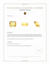 4.01 Ct. Citrine from Brazil Appraisal