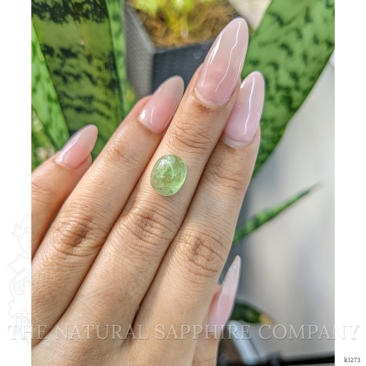 4.05 Ct. Cabochon Tourmaline from Mozambique