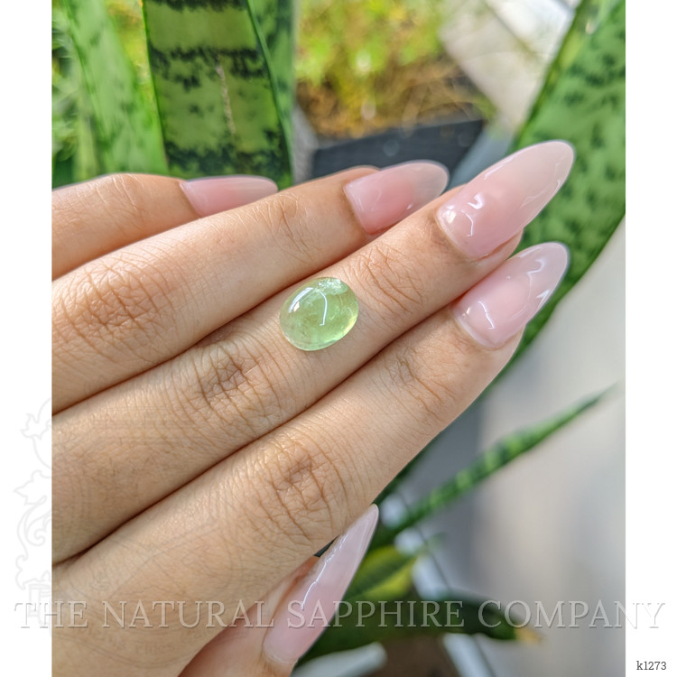 4.05 Ct. Cabochon Tourmaline from Mozambique