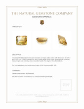 4.05 Ct. Citrine from Brazil Appraisal
