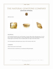 4.05 Ct. Citrine from Brazil Appraisal