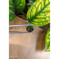 4.93 Ct. Boulder Opal from Australia Life Style