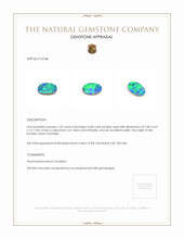 1.45 Ct. Boulder Opal from Australia Appraisal