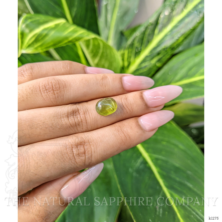 4.40 Ct. Cabochon Tourmaline from Mozambique