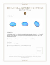 16.93 Ct. Boulder Opal from Australia Appraisal