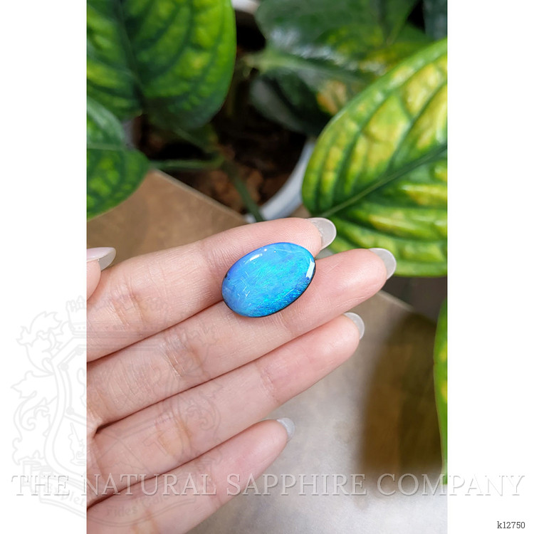 16.93 Ct. Boulder Opal from Australia