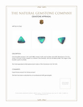 2.49 Ct. Boulder Opal from Australia Appraisal