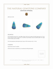8.01 Ct. Boulder Opal from Australia Appraisal