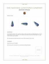 14.07 Ct. Boulder Opal from Australia Appraisal