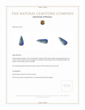 14.07 Ct. Boulder Opal from Australia Appraisal