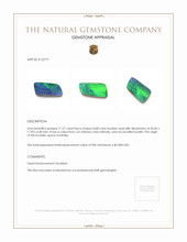 11.27 Ct. Boulder Opal from Australia Appraisal