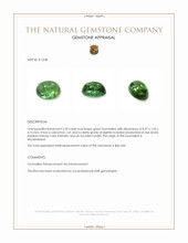 2.39 Ct. Cabochon Tourmaline from Mozambique Appraisal