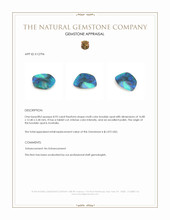8.93 Ct. Multi Color Boulder Opal (Ironstone Opal) from Australia Appraisal
