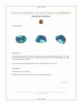 8.93 Ct. Boulder Opal from Australia Appraisal