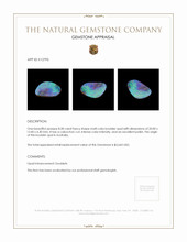 8.28 Ct. Boulder Opal from Australia Appraisal