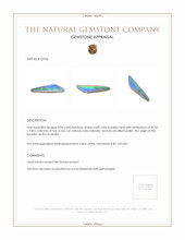 8.06 Ct. Boulder Opal from Australia Appraisal
