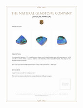7.73 Ct. Boulder Opal from Australia Appraisal