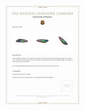 7.05 Ct. Boulder Opal from Australia Appraisal