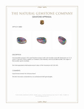 2.90 Ct. Boulder Opal from Australia Appraisal