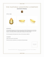 3.10 Ct. Citrine from Brazil Appraisal
