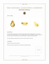 3.60 Ct. Citrine from Brazil Appraisal