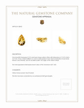 3.23 Ct. Citrine from Brazil Appraisal