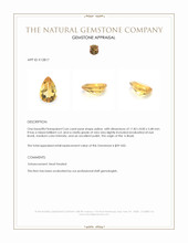 2.66 Ct. Yellow Citrine from Brazil Appraisal