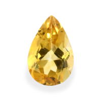 2.83 Ct. Citrine from Brazil Video