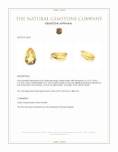3.90 Ct. Citrine from Brazil Appraisal