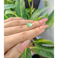 4.44 Ct. Cabochon Tourmaline from Mozambique Life Style