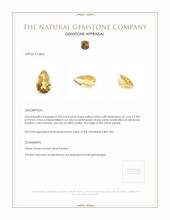 3.03 Ct. Citrine from Brazil Appraisal
