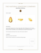 2.75 Ct. Citrine from Brazil Appraisal