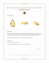 2.59 Ct. Citrine from Brazil Appraisal