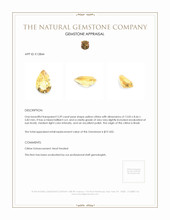 3.39 Ct. Citrine from Brazil Appraisal