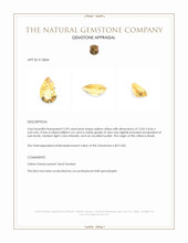 3.39 Ct. Citrine from Brazil Appraisal