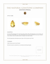 3.49 Ct. Citrine from Brazil Appraisal