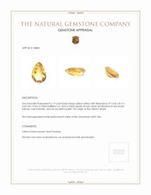 3.19 Ct. Citrine from Brazil Appraisal