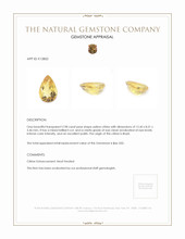 2.98 Ct. Citrine from Brazil Appraisal