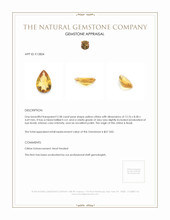 2.58 Ct. Citrine from Brazil Appraisal